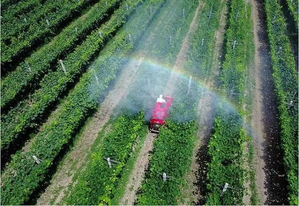 連續(xù)流工藝應(yīng)用場(chǎng)景-農(nóng)藥中間體