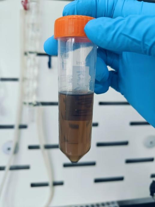 1722043900103602.png 圖片4.png