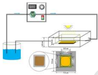 1732845734467420.png 1732845734467420.png