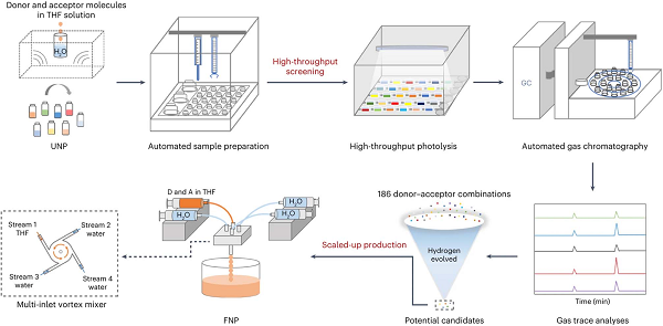 1768379605170319.png 圖片6.png