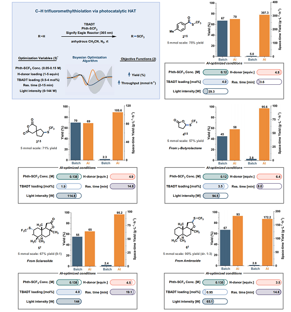 1769139398824005.png 圖片3.png